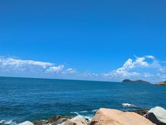 -广东惠东海龟国家级自然保护区