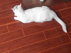 -轩于鲜旋转小火锅(南禅寺店)