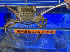 -拙大师·龙虾四季排档·夜宵至凌晨4点(唯亭店)