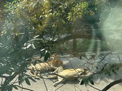 -大连森林动物园