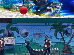 -石家庄极地海洋世界