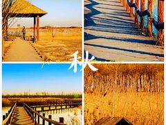 -西青郊野公园