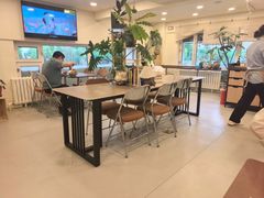 -阿九笨鸡蛋手擀面(总店)
