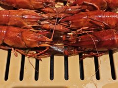 -肥肥虾庄·金牌油焖大虾(汉街SKP店)
