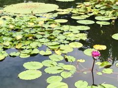 -国家植物园南园