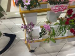 -海底捞火锅(莘松路店)