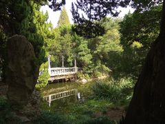 -叶家花园