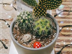 -A380视光·蔡司眼镜店(锦艺城店)