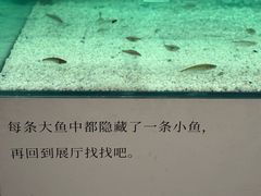 -江苏省美术馆(长江路新馆)