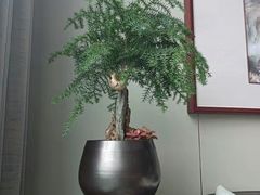 -潮好味(国贸英皇集团中心店)