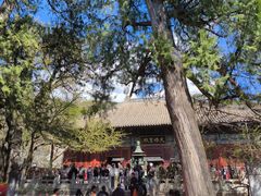 -红螺寺