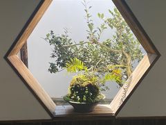 -凤凰山斑鱼馆(恭城店)