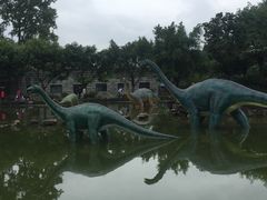 -自贡恐龙博物馆