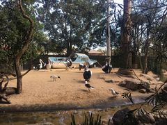 -费瑟代尔野生动物园