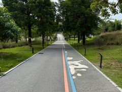 -三门江国家森林公园