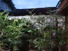 -院子餐厅·大锅菜·老杭帮(桥西直街店)