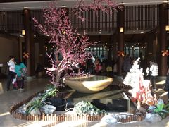 iphone_upload_pic-航空小镇温泉