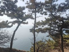 -燕窝岭