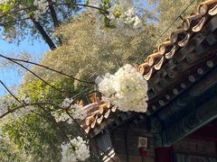 -潭柘寺景区
