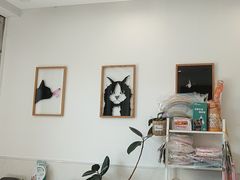 -凯特喵百思猫专科医院