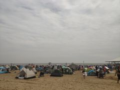 -碧海金沙