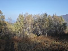 -灵山