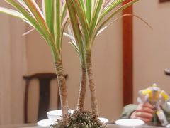 -鹰龙海畔度假酒店(咸祥店)
