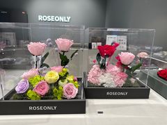 -ROSEONLY诺誓(广州K11店)