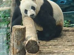 -大连森林动物园