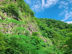 -白云源风景区