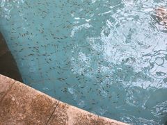 -郑州银基黄帝宫御温泉