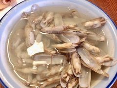 白灼蛏子-大树下饭店(春晓镇慈岙社区卫生服务站南)