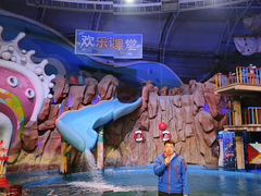 -烟台海昌鲸鲨海洋公园
