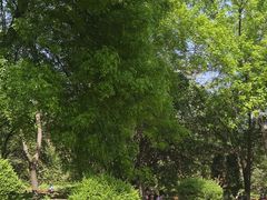 -洛阳市隋唐城遗址植物园
