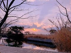 -良渚古城遗址公园