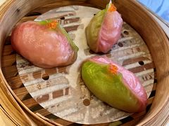-点都德·毕德寮