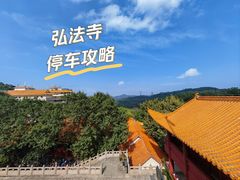 -深圳市中科院仙湖植物园