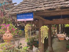 -西双版纳傣族园