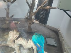 -青藏高原野生动物园