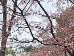 景点-静安雕塑公园