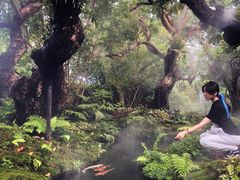 景观位-Chom Cafe and Restaurant