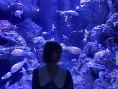 -成都浩海立方海洋公园