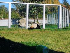 -西安秦岭野生动物园