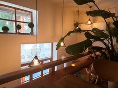 靠窗位-长颈鹿咖啡(大学路店)