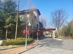 -芭东小镇温泉
