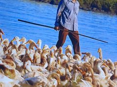 -虎婆冷饮店·海南特色炒冰(三亚湾店)