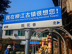 -望江饭店(13年精品店)