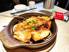 -九毛九西北菜(百信广场店)