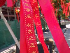 -神光山国家森林公园