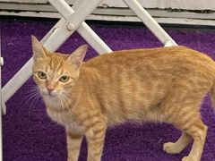 -客汀家宴·客家烟火 四季食材(集美店)